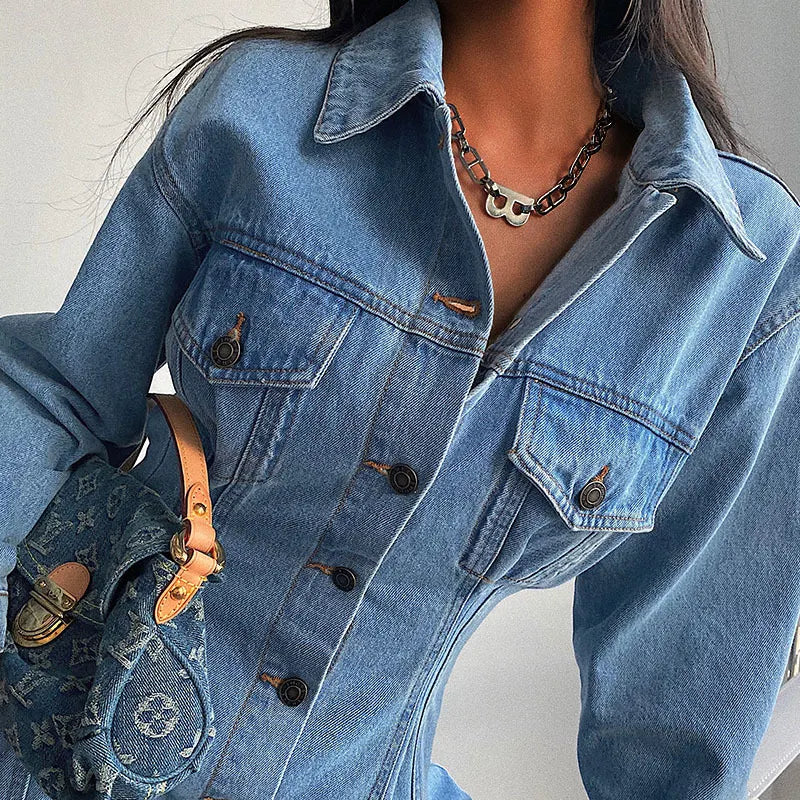Slim Long Sleeves Denim Dress